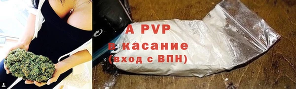 трава Коряжма