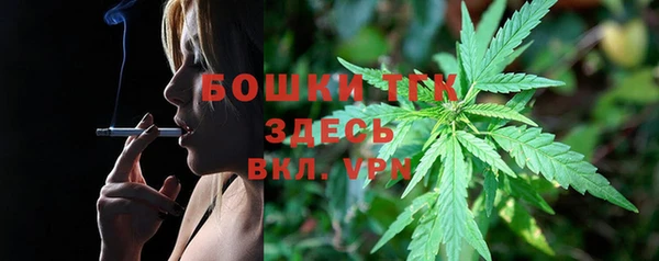трава Коряжма