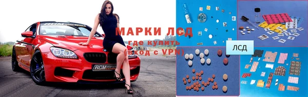 трава Коряжма