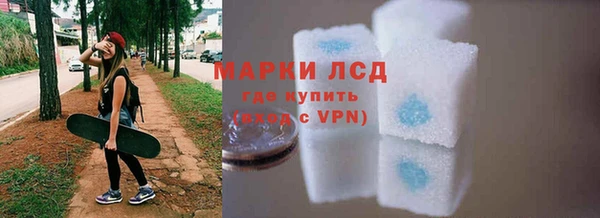 трава Коряжма