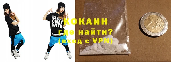 трава Коряжма