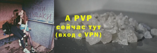 трава Коряжма