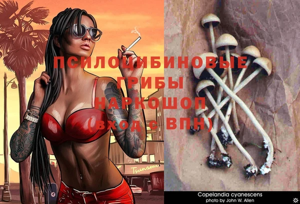 трава Коряжма