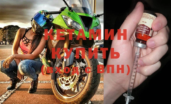 трава Коряжма