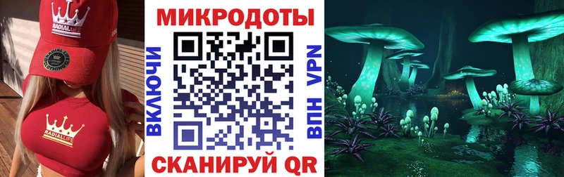 Купить  Гаврилов-Ям  Галлюциногенные грибы Cubensis 